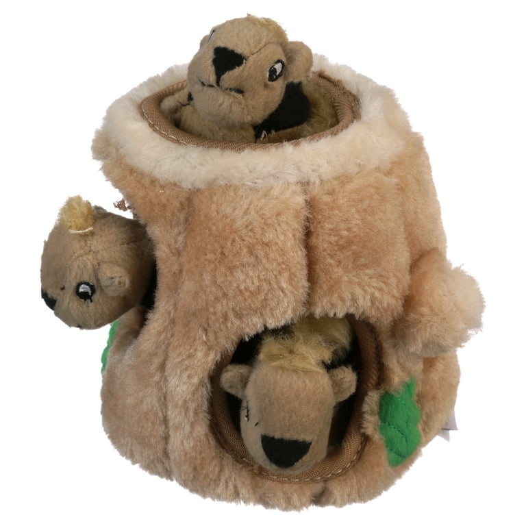 Outward Hound Hide A Squirrel Puzzle Dog Toy - Deer Park, NY - The