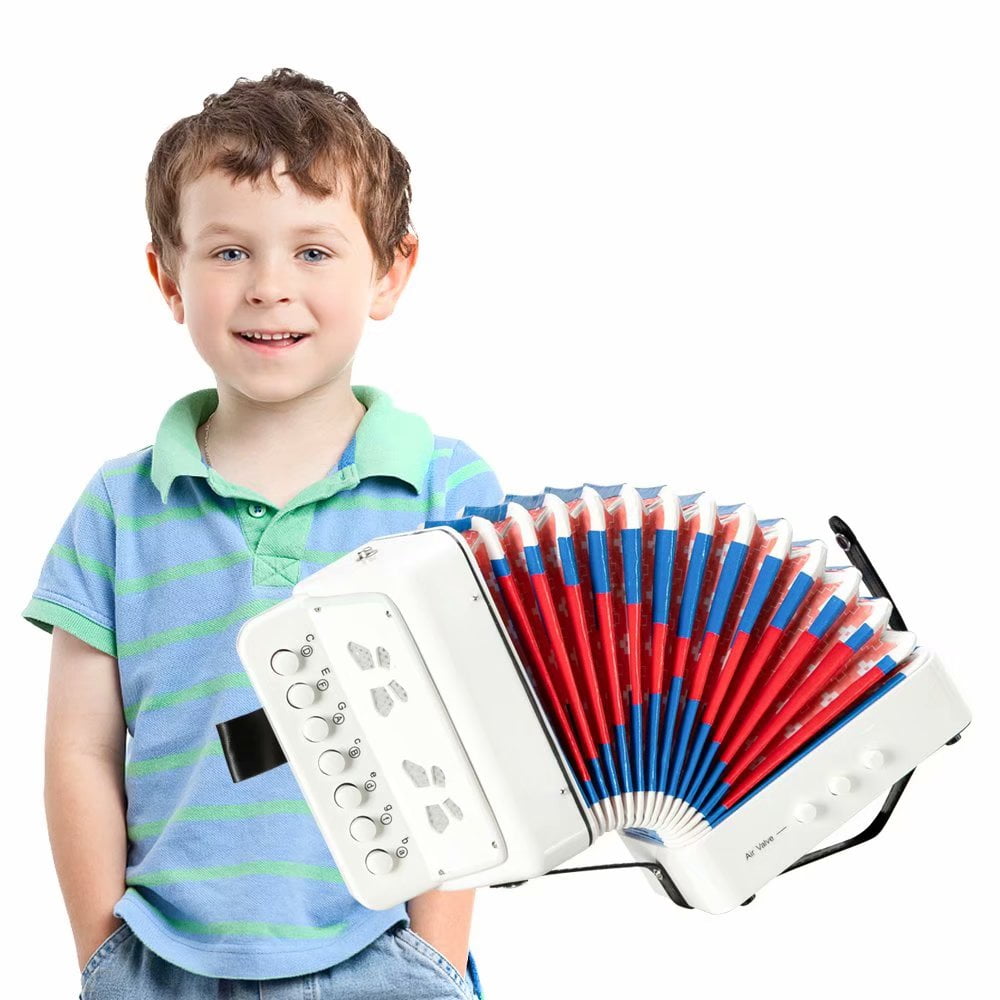 accordion instruments