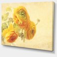 thumbnail image 2 of Bunch of Yellow Ranunculus Flowers - Floral Canvas Art Print, 2 of 4