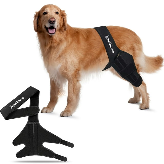 Rodillera para perros Petbloom para desgarro del ligamento cruzado anterior, displasia de cadera y artritis