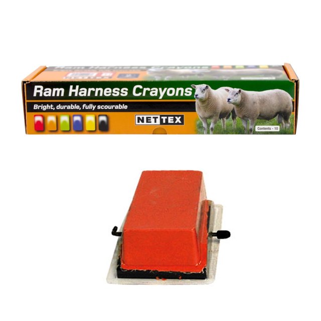 Nettex Craies de Cire à Froid (Lot de 10)