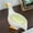 White, variant on Ceramic Yellow Duck Soap Dish - Cute Duck Shaped Soap Holder with Storage Rack for Bathroom Toilet Decor ( White )