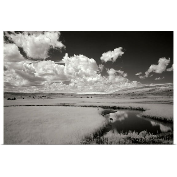 Great BIG Canvas | "Yellowstone Creek" Art Print - 36x24