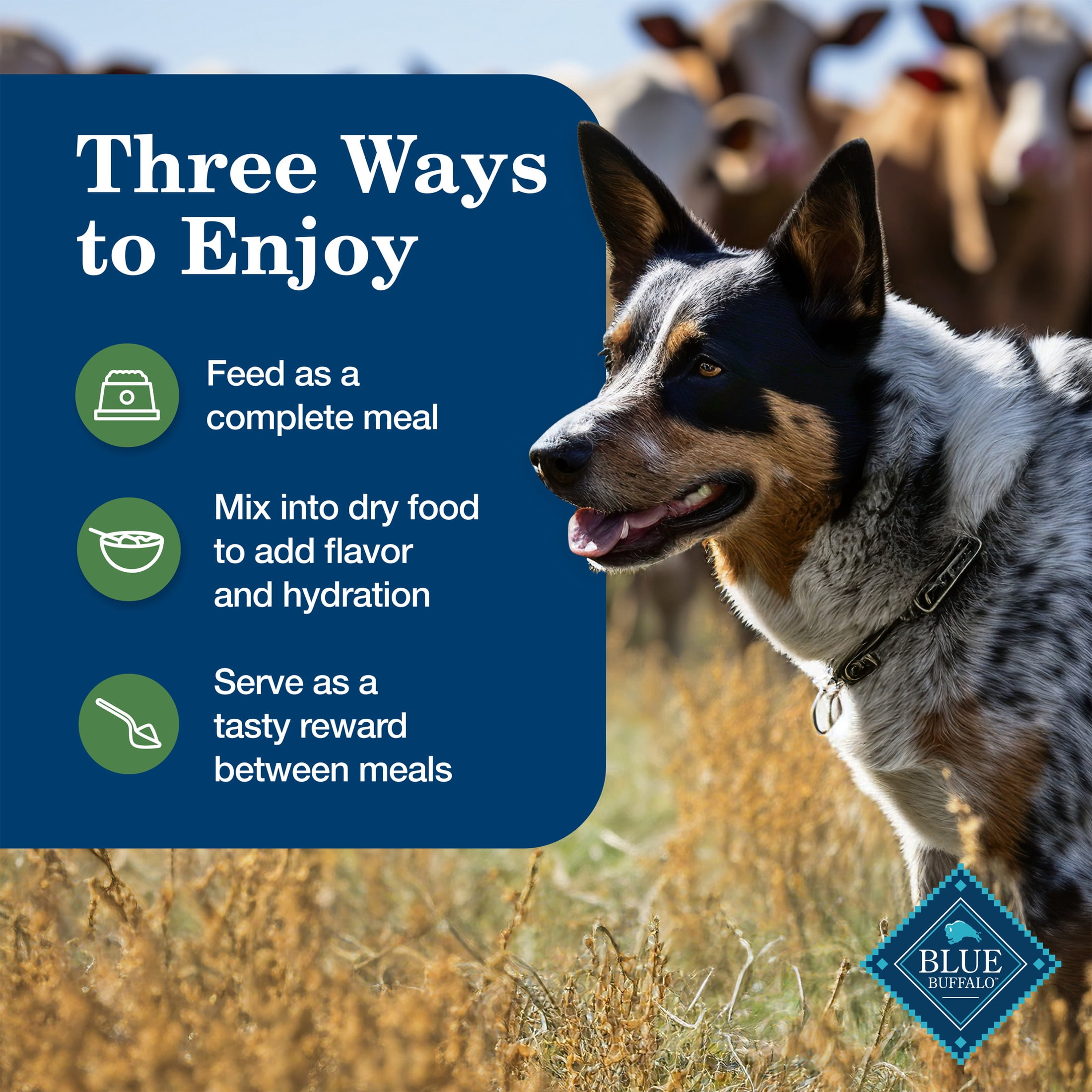 (12 pack) Blue Buffalo Homestyle Recipe Adult Wet Dog Food, Lamb Dinner, 12.5-oz. Can