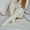 White, variant on LYXSSBYX Fuzzy Socks for Women Hot Sale Clearance Women Cable Knit Extra Long Boot Socks Over Knee Thigh Stocking Leg Warmers