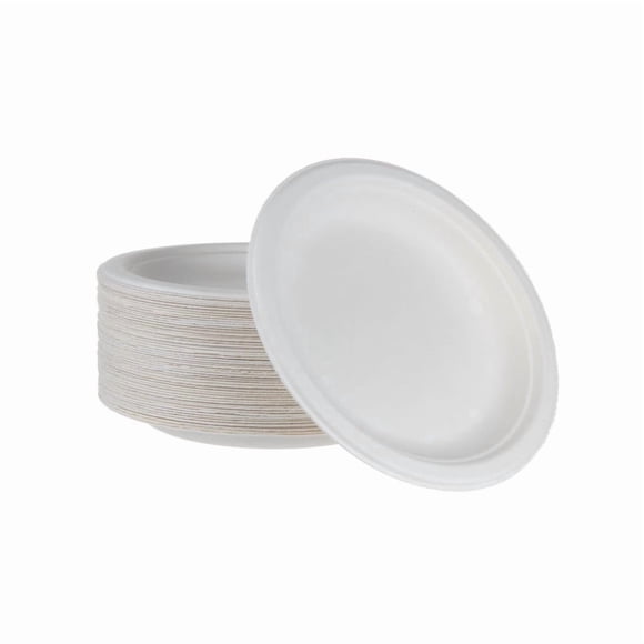 iECO (500 Unités) Assiettes en Papier Bagasse de 6 Pouces, Assiettes de Canne à Sucre 100 % Compostables, Robustes, Biodégradables, Compatibles Micro-Ondes et Congélateur