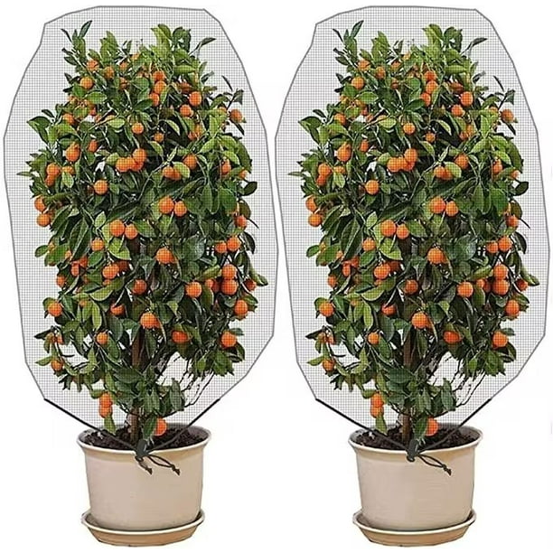 2 mallas de malla para barrera contra insectos y pájaros con cordón, 3,2 x 4,9 pies, red para insectos de jardín, cubierta para plantas, red para árboles frutales para proteger plantas, frutas, flores cítricas de la comida de insectos y pájaros ER