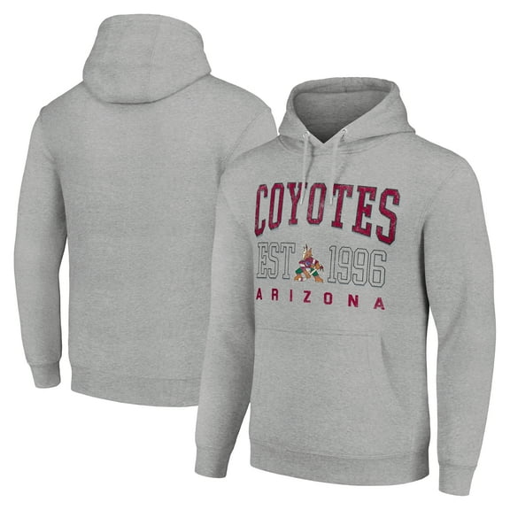 Men's Starter Heather Gray Arizona Coyotes Graphic Pullover Hoodie