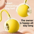 thumbnail image 3 of Pet Toy Ball, Teasing Cat Ball, Dog and Cat Self-Entertainment Gadget Pet Toy, Pet Supplies Cat Toy, 3 of 8