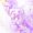 Golden Purple 14, variant on Manfei Purple Bow Twin Quilt Set,Girls Personalized Letter A Twin Coverlet Set,2 Pieces