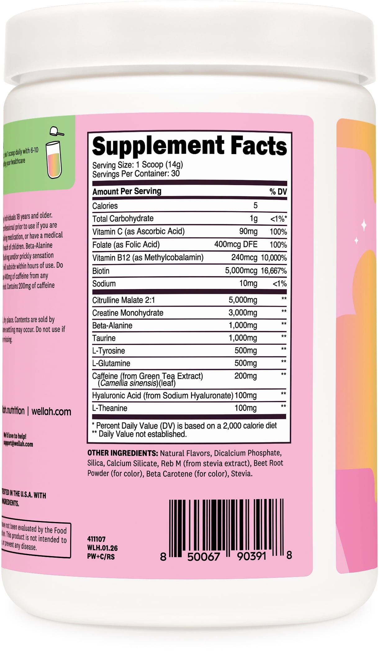 Wellah Pre-Workout + Creatine Powder (30 Servings) Rainbow Sherbert - 200mg Caffeine, 3g Creatine Monohydrate, 5g Citrulline Malate, Pre-Workout with Creatine Supplement
