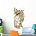 thumbnail image 1 of Lynx Cub Wall Mural by Wallmonkeys Peel and Stick Graphic (24 in H x 11 in W) WM258896, 1 of 4