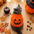 thumbnail image 4 of Clearance Cat & Dog Pumpkin Costumes Halloween Thanksgiving Pumpkin Jack-o'-lantern Animal Cosplay for Medium Dogs Holiday Decoration Pet Parties Dress up, 4 of 6