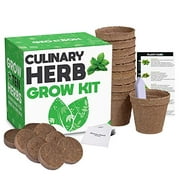 Culinary Herb Garden Kit - Easily Grow 10 Culinary Herbs With This Indoor Planter By Geo Box - Starter Kit Includes Everything To Grow 10 Herbs From Seed