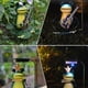 thumbnail image 3 of Luces solares para jardín, luces con forma de rana para jardín, para caminos, césped, patios y decoraciones, 3 of 5