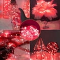 thumbnail image 3 of Cadena de luces CAMANTU, 12 unidades, 2 m, 20 LED, color rojo, funciona con pilas, 3 of 7