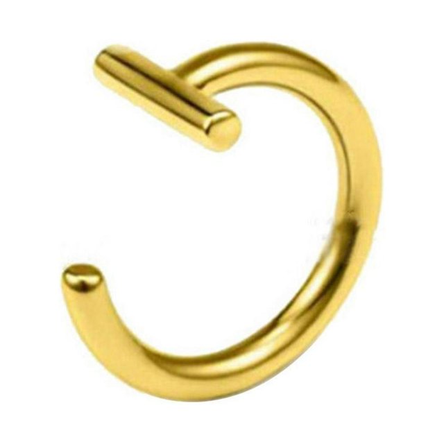 LEEYNEER Gold 1.0*8mm Personalized Hole-Free False Lip Studs Lip Clips Lip Rings Piercing Titanium Steel Stainless Steel Jewelry Nose Studs Nose Rings