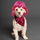 thumbnail image 5 of Sombrero de pescador para mascotas, disfraz para perro y gato, sombrero de pescador con visera ajustable para mascotas, sombrero para el sol, 5 of 5