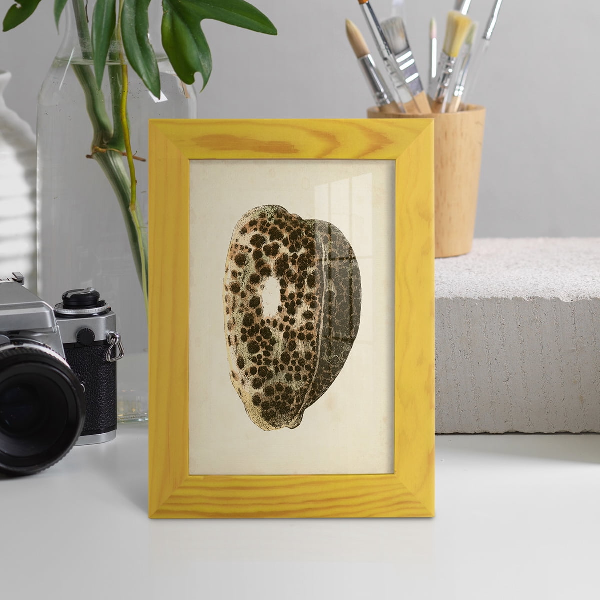 Sealife Collection III - Framed Print w/glass - Sunflower Yellow