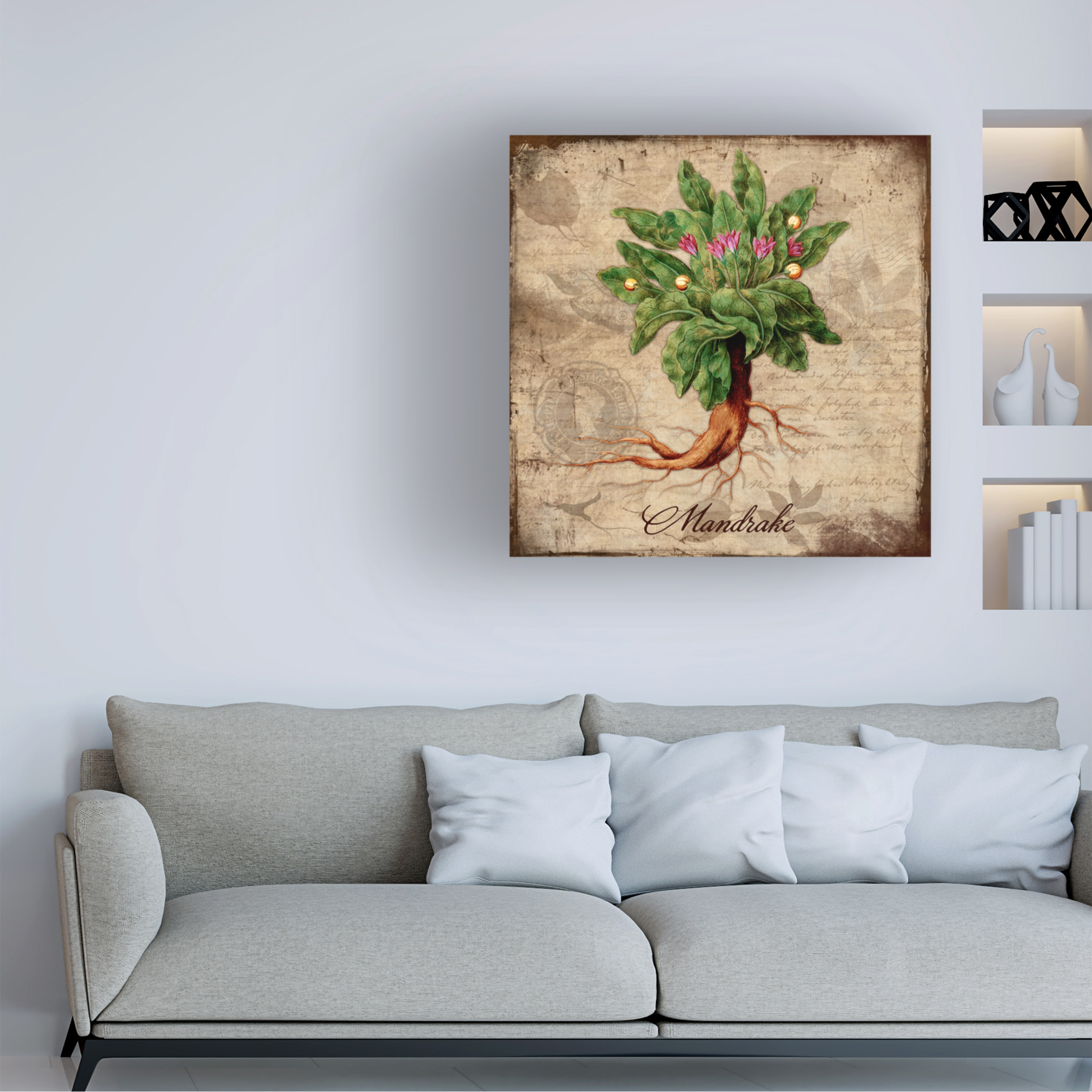 Trademark Fine Art 'Mandrake' Canvas Art by Tina Lavoie