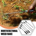 thumbnail image 3 of High-Hardness Stainless Steel Horticultural Weeding Rake, Multi-Tooth Design, Comfortable Grip, Suitable for Home Gardening, 3 Sizes Available, 3 of 8