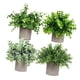 thumbnail image 1 of 4 piezas de plantas falsas Soledad en maceta bonsái artificial Estilo A, 1 of 10