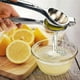 thumbnail image 5 of XXL Citrus Juicer for Oranges, Lemons & Limes - Ergonomic Manual Press with Stainless Steel Design, 5 of 5