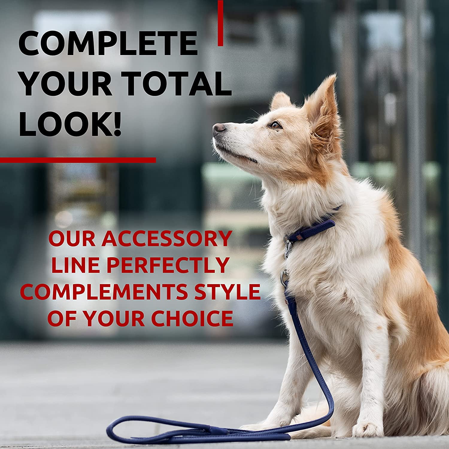 Glamour Rolled Leather Dog Leash for Small Medium and Large Dogs | Heavy Duty Strong Leather Puppy Leash for Outdoor Walking Running Training | Strong Dog Leashes for Large Breed Dogs - Purple