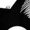 001250-Black-, variant on children’s wear Adorable Love Ai Kanji Black Cat Ramen Noodle Graphic T-Shirt for Boys and Girls