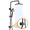 Oil-Rubbed Bronze, variant on Bright Showers Rain Shower Heads System, Rainfall & Handheld Shower Combo with Height Adjustable Holder, Solid Brass Rail, 60" Long Hose, Chrome