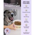 thumbnail image 4 of (Pack Of 4) Bundle x Joy Salmon Wild Dog Food Dry 4 Lb, 4 of 7