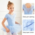 thumbnail image 2 of Fesfesfes Toddler Girls Children's Dance Outfit Suits Thin Short Sleeves Training Dancewear Suits Ballet One-piece Show Suits with Skirt Spring, 2 of 7