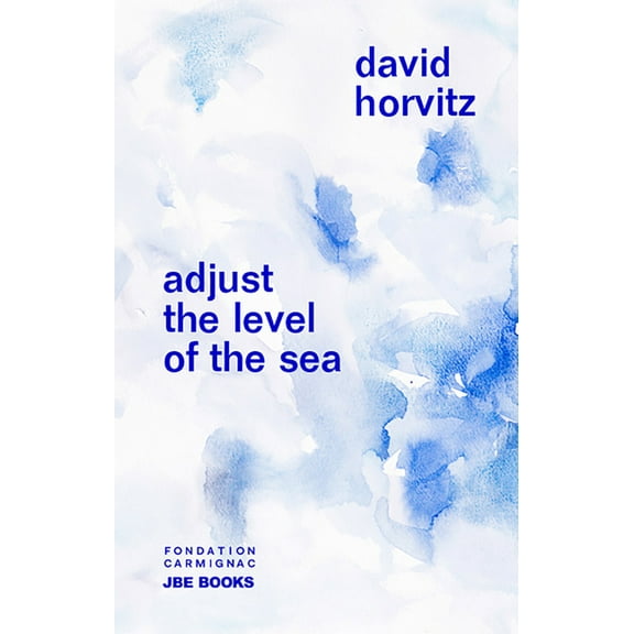 David Horvitz: Adjust the Level of the Sea, (Paperback)
