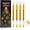 4 Pack Gold, variant on White Gel Pens,4 Pack, 1mm Fine Point Opaque White Archival Ink Pens,Gel Ink Pen Set,for Black Paper Drawing,Card Making, Art Highlight & Artists Drawing