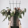 thumbnail image 4 of 2Pcs Plant Trellis 15.8 Inch Iron Plant Growing Support Weather Resistant Plant Climbing Rack Garden Decorative Tools, 4 of 9