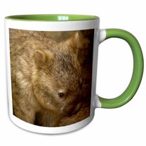 3drose, Common Wombat, Marsupial, Australia-au01 Pox0109 - Pete Oxford, 11oz Two-tone Green Mug