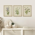 thumbnail image 3 of PixonSign Framed Canvas Print Wall Art Set - Vibrant Green Purple Wildflower Trio Poster Arts - Set of 3 Botanical Floral Colorful Wall Décor for Living Room, Bedroom, Office - 11"x14" Natural, 3 of 5