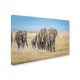 thumbnail image 2 of Trademark Fine Art 'The World's Greatest Parade' Canvas Art by Jeffrey C. Sink, 2 of 3