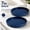 Blue, variant on Ceramic Plant Saucer Tray Set of 2, 7 Inch Heavy Duty Glazed Round Drip Catch Basin for Indoor Outdoor Flower Pots Bottom ≤ 6.8 Inch