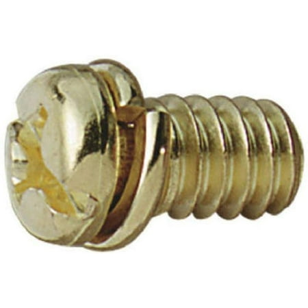 

Corp Motor Screw 10-Pack Antique Brass (7704800)