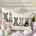 thumbnail image 5 of Easter Pillow Covers 16X16 inch Polka Dot Bunny Decorative Throw Pillows Rabbit Cushion Case Spring Decorations for Farmhouse Home Couch Sofa(2-16a), 5 of 6