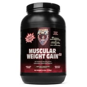 HEALTHY N FIT - Muscular Weight Gain, 2.5lb -Chocolate - Time Release Protein, Creatine, Glutamine