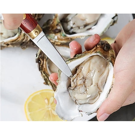 Oyster Knife Stainless Steel Kitchen Knife Seafood Tool Raw With Wood Handle