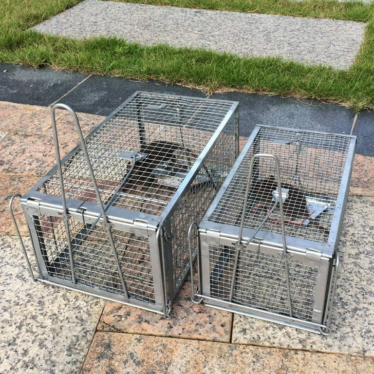 Anyhall 2-Pack Rat Traps Humane Live Mouse Vole Chipmunk Trap Cage for  Indoors and Outdoors (Black)