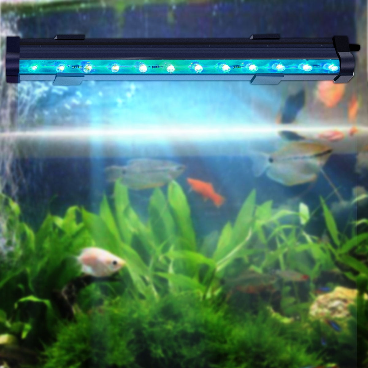 Aquarium Light, LED Fish Lights, RGB Colored Changing Submersible LED Light with 12 LED for Small Fish Tank - Walmart.com