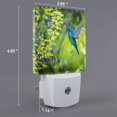 thumbnail image 2 of Set of 2 Led Night Lights, Colorful Dinosaur Auto Dusk-to-Dawn Sensor Night Lamp Plug-in Home Decorative for Adult, 2 of 5