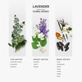 thumbnail image 3 of Aceite difusor de fragancia AROMAPLAN Hotel Scents Lavender 148 ml, 3 of 7