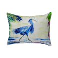 thumbnail image 1 of Betsy Drake NC810 Oreiller 16 x 20 Po Bleu Aigrette Sans Cordon, 1 of 1