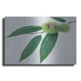 thumbnail image 1 of Luxe Metal Art 'Chestnut' by Zigen Tanabe, Metal Wall Art, 24"x16", 1 of 7