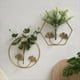 thumbnail image 5 of C Flores Floreros Colgantes Maceta Maceta de Pared Maceta Maceta Balcón Decoración del Hogar Florero de Pared Florero Hidropónico Colgante de Pared, 5 of 6